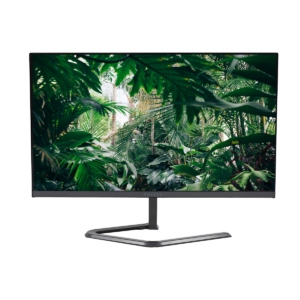 24 inch Monitor